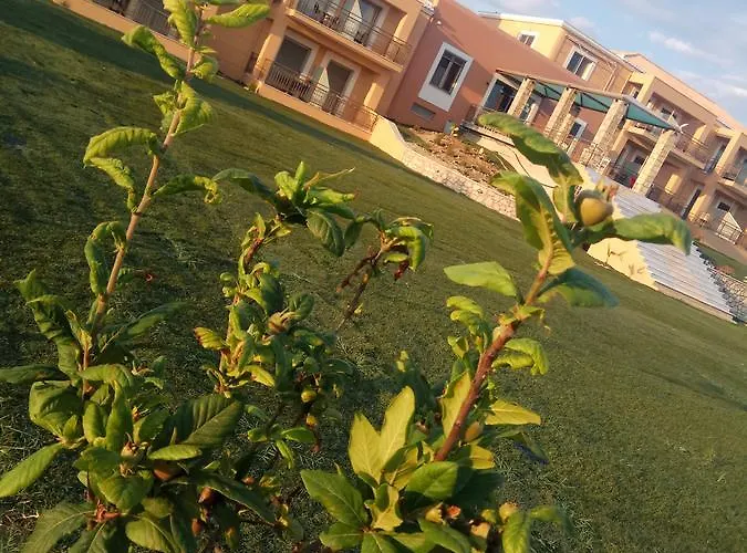 شقة فندقية Finiki Plaza