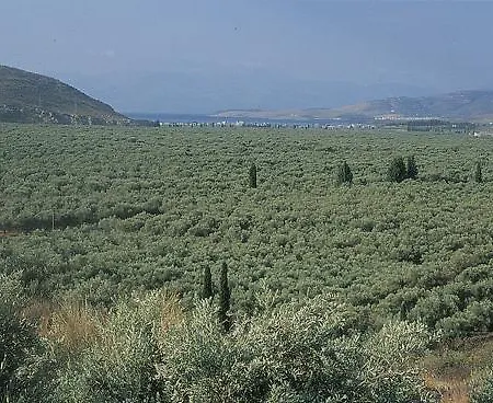 Finiki Plaza アパートホテル 3*