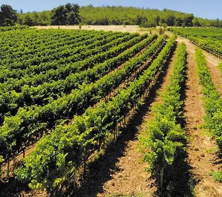 Finiki Plaza Methoni (Messenia)