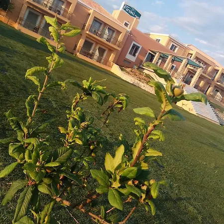 Lejlighedshotel Finiki Plaza
