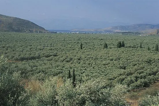 Finiki Plaza Apartmanhotel 3*