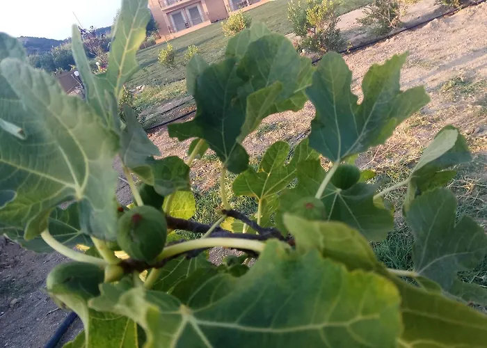 Apartmanhotel Finiki Plaza Methóni